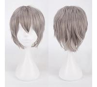 Fashion Cheap Short Cosplay Wig Men Heat Resistant Synthetic Hair Halloween Costume Party Wigs Peruca + Wig Cap OneSize grey