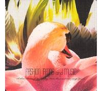 Fashion Trends And Music