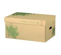 Fast 100725910 Nature Line caja de Document Color Crudo, color crudo LOT DE 5 CAISSES
