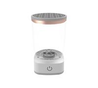 Fast Brush Cleaner, Foundation Brush Cleaner, Cosmetic Brush Dryer, Brush Cleaner for Makeup, Professional Powered Cosmétic Brush Cleaner for Foundation and Powder Broches, transparente y gris