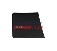 FAST FT90937 Listón embellecedor/protector puerta derecha negro