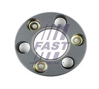 FAST FT92001 Tapacubos ruedas gris