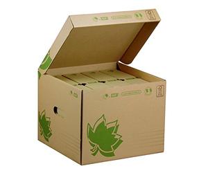 FAST Nature Line 100725910 - Caja para documentos (1 cubo CAISSE + 4 BOITES D'ARCHIVES), color blanco