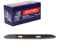 FAST Zier-/Schutzleiste, Seitenwand FT90850