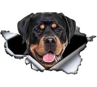 FASTLATE 2pcs Pegatina De Automóvil De Perro Divertida Calcomanía De Metal De Metal Pegatinas Reflectantes Calcomanías De Perros De Mascota Accesorios De Estilo De Automóvil 3D 13 Cm X 8 Cm Maleta