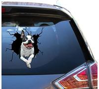 FASTLATE Boston Terrier Cor Window Window Sticker Boston Terrier Gifts Fun Bumber Cars Bumber Cars para Niños Cute Vynil Vehicles Decal
