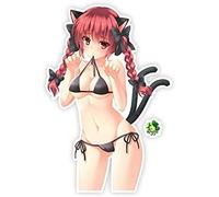 FASTLATE Pegatina De Auto 13 X 9 Cm CMA BELLICACIÓN CHILLE PELQUEZA DE Car Styling Styling Motocycle Stacker DE VINIL Car Decoración De Automóviles