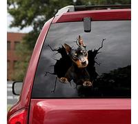 FASTLATE Pinscher Miniatura para Coche, Pegatinas para Coche, Paquete De 2, Pegatinas Realistas De Pinscher Miniatura para Ventanas De Coche, Paredes Serie 51, Tamaño 10.0 X 10.0 In
