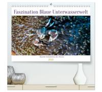 Faszination blaue Unterwasserwelt (hochwertiger Premium Wandkalender 2026 DIN A2 quer), Kunstdruck in Hochglanz: Entdecke die Schönheit des Meeres in ... wundersamen Farbenpracht und bizarren Formen