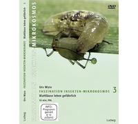 Faszination Insekten-Mikrokosmos 3, Blattläuse leben gefährlich [Alemania] [DVD]