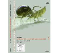 Faszination Insekten-Mikrokosmos, Räuber und Parasitoide, DVD [Alemania]