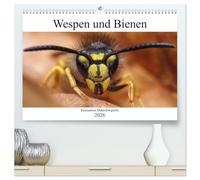 Faszination Makrofotografie: Wespen und Bienen (hochwertiger Premium Wandkalender 2026 DIN A2 quer), Kunstdruck in Hochglanz: Wunderschöne Makroaufnahmen von Bienen und Wespen