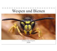 Faszination Makrofotografie: Wespen und Bienen (Tischkalender 2026 DIN A5 quer), CALVENDO Monatskalender: Wunderschöne Makroaufnahmen von Bienen und Wespen