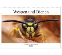 Faszination Makrofotografie: Wespen und Bienen (Wandkalender 2026 DIN A3 quer), CALVENDO Monatskalender: Wunderschöne Makroaufnahmen von Bienen und Wespen