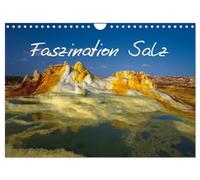 Faszination Salz (Wandkalender 2026 DIN A4 quer), CALVENDO Monatskalender: Die Fotos sensibilisieren und informieren über die Wichtigkeit des Themas ... der großen Salzabbaugebiete unserer Erde.