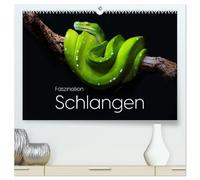 Faszination Schlangen (hochwertiger Premium Wandkalender 2026 DIN A2 quer), Kunstdruck in Hochglanz: Entdecke die einzigartige Welt der Schlangen.
