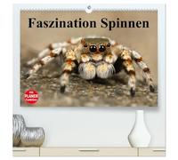 Faszination Spinnen (hochwertiger Premium Wandkalender 2026 DIN A2 quer), Kunstdruck in Hochglanz: Die achtbeinigen Webkünstler aus der Nähe