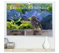 Faszination Steinkauz (hochwertiger Premium Wandkalender 2026 DIN A2 quer), Kunstdruck in Hochglanz: Einmalige Bilder von Steinkäuzen in freier Natur.