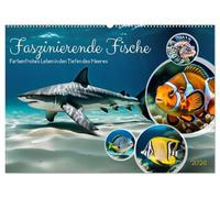 Faszinierende Fische (Wandkalender 2026 DIN A2 quer), CALVENDO Monatskalender: Farbenfrohes Leben in den Tiefen des Meeres