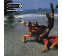 Fat De The Land - Prodigy LP Vinilo BB ( XL Rec