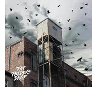 Fat Freddys Drop - Blackbird Returns [Vinilo]