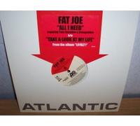 Fat Joe - All I Need [Vinilo]