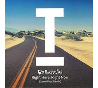 Fatboy Slim - Right Here, Right Now (CamelPhat Remix) [Vinilo]