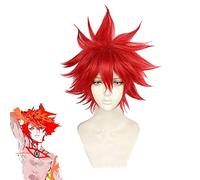 Fate/grand Order Super Karna Pelucas de Cosplay Rojo Corto Peluca de pelo de fibra de alta temperatura para FGO Fiesta de Halloween Carnaval Talla única Karna