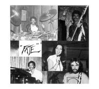 Fate I'm in Love Again (Vinyl) 7" Single (Importación USA)