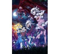 Fate/kaleid liner プリズマ☆イリヤ ツヴァイ ヘルツ! 第5巻 [Blu-ray]