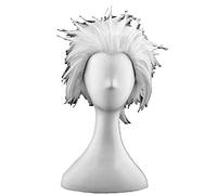 Fate/stay Night Emiya Shirou Archer Cosplay Peluca Corta Gris plateado Resistente al calor Fibra Cabello Anime Disfraz Pelucas Pelucas