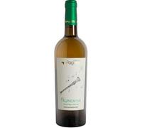 Fattoria Pagano Falanghina Roccamonfina IGT 2023 (1 bottiglia)