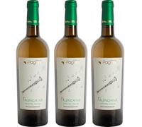 Fattoria Pagano Falanghina Roccamonfina IGT 2023 (3 bottiglie)