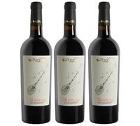 Fattoria Pagano Piedirosso Campania Fattoria Pagano IGT 2022 (3 bottiglia)