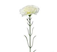 Fauhapyway Tallos de clavel artificiales de 51 cm de largo, ramo de flores de seda sintética para decoración de bodas, decoración del hogar, centros de mesa, color rosa claro, paquete de 5 (blanco