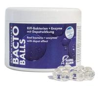 Fauna Marin bacto Reef Balls 500 ml Riff de bacterias
