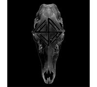 Fauna The Hunt (Vinyl) 12" Album (Importación USA)