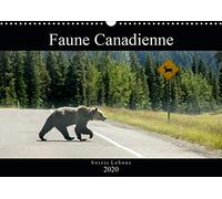 Faune canadienne (calendrier mural 2020 din a3 horizontal) - a la rencontre de la faune ouest-canadi (Calvendo Animaux)