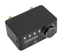 FAUOSWUK Mini Amplificador de Potencia Bluetooth 5,0, Estéreo de Alto Rendimiento 100Wx2 para Ordenador, Receptor de Sonido Inalámbrico Portátil de Metal