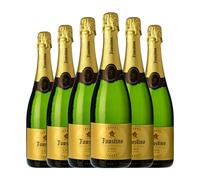 Faustino Extra Brut Cava Reserva 75 cl Espumoso blanco (Caja de 6 Botellas de 75 cl)