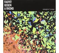 Fauve! Gegen a Rhino - Namegivers Avenue