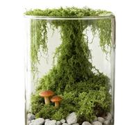 Faux Green Moss - 24.5x31x1.5cm ABS Lightweight 300g Decorative Material | Realistic Crafting Element For Garden Displays Vase Terrariums Wall Art Wedding Holiday Seasonal Outdoor Indoor Aquarium Sett