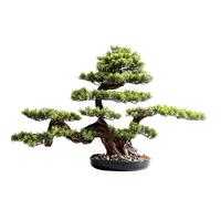 Faux Tree Acogedor de la Planta de simulación de Pino Entrada de Bonsai Sala de Estar Planta Verde Planta de Hotel Falso Grande decoración de podocarpos Adornos de Faux Plantas Falsas Interiores (c)