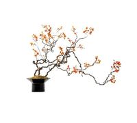 Faux Tree Estilo Chino Berry Floral Bonsai Mesa de Entrada Mesa de café Barra de decoración de recepción Adornos en macetas Plantas Falsas