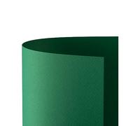 Favini A33D012 Prisma 220 Cartón, 50 x 70 cm, 20 Unidades, Color Verde