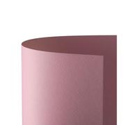 Favini A33S0A1 Prisma 220 Cartón, 100 x 70 cm, 10 Unidades, Color Rosa