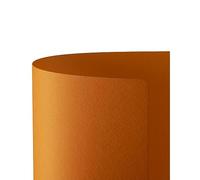 Favini Cartoncino Prisma 220 50x70 cm Arancio A33E012 (conf.20)