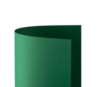 Favini Cartoncino Prisma 220 70x100 cm Verde A33D0A1 (conf.10)