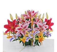 Favour Pop Up® - Un magnífico ramo de orquídeas en 3D para cumpleaños, aniversario, también para regalo de dinero o cupón. XP924