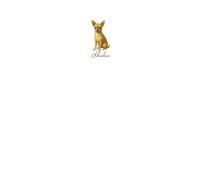 Fawn Chihuahua Notebook, Journal, Diary: Perfect as a gift for Chihuahua fans, family, friends, and anyone who finds joy in yappy little dogs and wagging tails